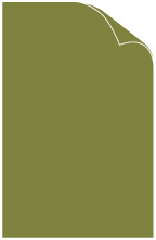 Olive Matte Cover 11 x 17 - 25/Pk