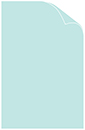 Daffy Blue Matte Cover 11 x 17 - 25/Pk