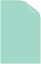 Tiffany Blue Matte Cover 11 x 17 - 25/Pk