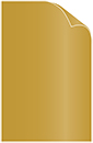 Antique Gold Cover 11 x 17 - 25/Pk