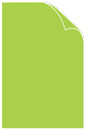 Sour Apple Cover 11 x 17 - 25/Pk