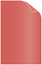Mars Cover 11 x 17 - 25/Pk