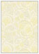 Paisley Yellow Flat Card 5 1/4 x 7 1/4 - 25/Pk