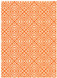 Maze Orange Flat Card 5 1/4 x 7 1/4 - 25/Pk