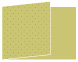 Polkadot Green Fold Away Invitation 5 x 7 - 25/Pk