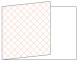 Casablanca Ginger Fold Away Invitation 5 x 7 - 25/Pk