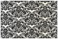Floral Black Gate Fold Invitation Style A (5 x 7) - 10/Pk