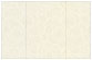 Paisley Silver Gate Fold Invitation Style A (5 x 7) - 10/Pk