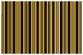 Stripe Noir Gate Fold Invitation Style A (5 x 7) - 10/Pk