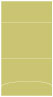 Polkadot Green Pocket Invitation Style A3 (5 1/8 x 7 1/8) 10/Pk