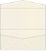Paisley Silver Pocket Invitation Style A4 (4 x 9) 10/Pk