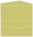 Polkadot Green Pocket Invitation Style A4 (4 x 9) 10/Pk