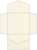 Paisley Silver Pocket Invitation Style B2 (6 1/4 x 6 1/4) - 10/Pk