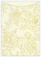 Rose Passion Jacket Invitation (5 1/8 x 7 1/8) - 10/Pk
