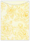 Rose Gold Jacket Invitation (5 1/8 x 7 1/8) - 10/Pk