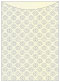 Rococo Grey Jacket Invitation (5 1/8 x 7 1/8) - 10/Pk