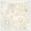 Rose Silver Jacket Invitation (5 5/8 x 5 5/8) - 10/Pk