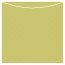 Polkadot Green Jacket Invitation (5 5/8 x 5 5/8) - 10/Pk