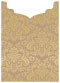 Floral Bronze Jacket Invitation Style B2 (5 1/8 x 7 1/8) - 10/Pk