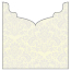 Floral Grey Jacket Invitation Style B3 (5 5/8 x 5 5/8) - 10/Pk