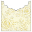 Rose Passion Jacket Invitation Style B3 (5 5/8 x 5 5/8) - 10/Pk
