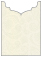 Paisley Silver Jacket Invitation Style B4 (3 3/4 x 5 1/8) - 10/Pk