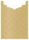 Rococo Bronze Jacket Invitation Style B4 (3 3/4 x 5 1/8) - 10/Pk