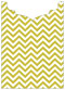 Pattern Jacket Invitation 5 1/8 x 7 1/8