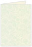 Paisley Green Landscape Card 4 1/2 x 6 1/4 - 25/Pk