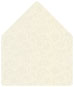 Paisley Silver A6 Envelope Liner (for A6 envelopes) - 25/Pk