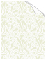 Beige Peacock Translucent paper 8 1/2 x 11 - 25/Pk