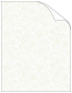 Beige Paisely Translucent paper 8 1/2 x 11 - 25/Pk