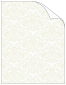 Beige Floral Translucent paper 8 1/2 x 11 - 25/Pk