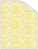 Renaissance Lime Text 8 1/2 x 11 - 25/Pk