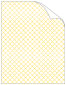 Casablanca Bumble Bee Matte Text - 25/Pk