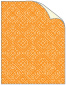 Maze Orange Matte Text - 25/Pk