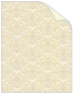 Pattern Cover