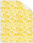 Peacock Yellow Cover 8 1/2 x 11 - 25/Pk