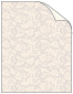 Renaissance Siver Cover 8 1/2 x 11 - 25/Pk