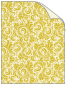 Nature Lime Cover 8 1/2 x 11 - 25/Pk