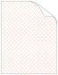 Casablanca Ginger Cover 8 1/2 x 11 - 25/Pk