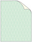 Glamour Green Tea Cover 8 1/2 x 11 - 25/Pk