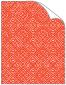 Maze Red Cover 8 1/2 x 11 - 25/Pk