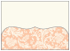 Renaissance Blush Pocket Card 7 1/4 x 5 1/4 - 10/Pk