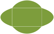 Iguana Pochette Style B2 (5 1/2 x 8 1/2) - 10/Pk