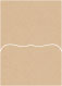 Desert Storm Pocket Card 5 1/4 x 7 1/4 - 10/Pk