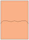 Ginger Pocket Card 5 1/4 x 7 1/4 - 10/Pk