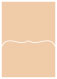 Latte Pocket Card 5 1/4 x 7 1/4 - 10/Pk