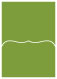 Iguana Pocket Card 5 1/4 x 7 1/4 - 10/Pk