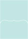 Daffy Blue Pocket Card 5 1/4 x 7 1/4 - 10/Pk